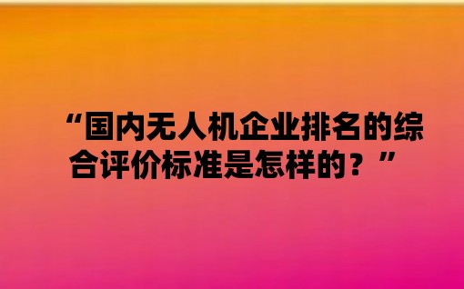 “国内无人机企业排名的综合评价标准是怎样的？”